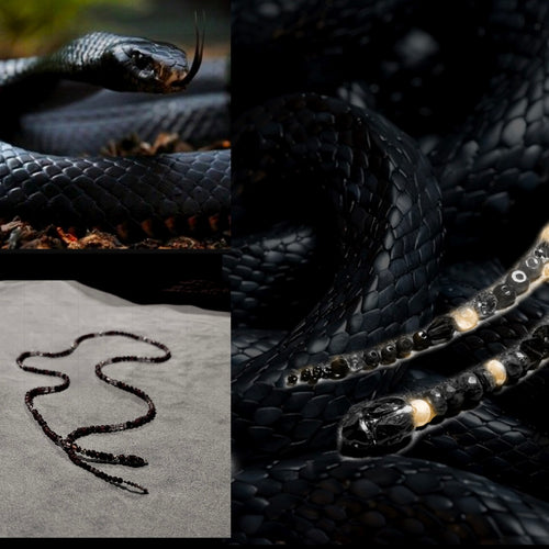 Serpent Black Mamba