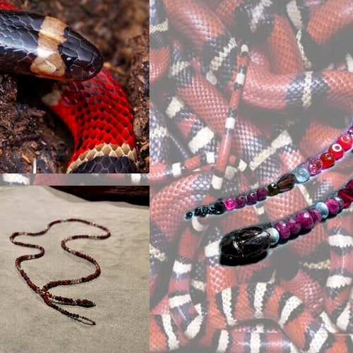 Serpent Coral Snake